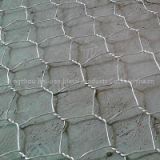 galvanized hexagonal wire netting/pvc coated hexagonal wire mesh