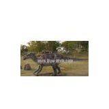 Artificial Dinosaur-Iguanodon Model for Outdoor