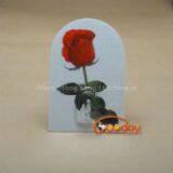 Plastic Hook for Bags