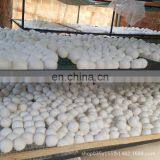 40colors for You Choose Eco Wool Dryer Balls thumbnail-2