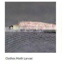 Powerful Moth Traps Strong Glue+paper+pheromone Bait for Clothes Closets Refillable Moth Trap Odor-free Natural 2 Year 7-15days thumbnail-5