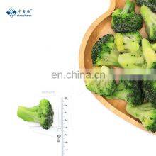 China Supplier of Premium Quality Frozen Broccoli Cuts thumbnail-2