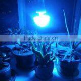 New Style ce Reptile Lamp With Great Price thumbnail-4