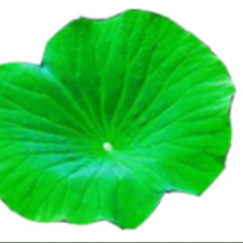 Lotus leaf extract