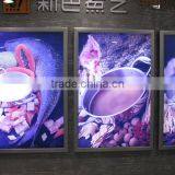 Super Slim Snap Frame LED Light Box for Picture Display,led Picture Display