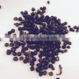 Black Pepper 550 G/L