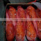 Canadian Frozen Cooked /raw Lobster thumbnail-1