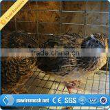 Quail Farm Cage thumbnail-6