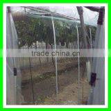 Animal Protection Fence/plastic Wire Bird Mist Nets for Vineyard thumbnail-4