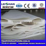 2016 Leizhan supplier paper felt in paper making machine