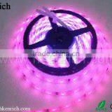 12V WS2801 Digital LED Flexible Strip (Non-waterproof, IP65, IP67 Available) thumbnail-1