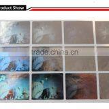 3D Security Holographic Label/hologram Sticker