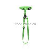 Running Epoxy Sticker Pet Dog Leash Wholesale thumbnail-2
