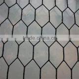 Best Quality 1/4 Inch Galvanized White Chicken Wire Mesh