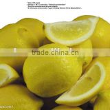 Chinese Lemon supplier