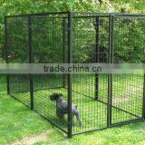 Outdoor Powder Coated Dog Kennel Large Dog Cages for Sale