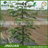 Ground Cover/ Polypropylene Woven Weed Mat/weed Control Mat thumbnail-4