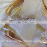 >>Special Offer<< Fish Fin thumbnail-1