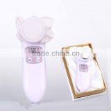 Ionic Cleanser Ion Vibration Injection Skin Whitening Device thumbnail-6