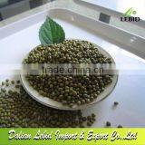 New Crop Green Mung Beans Hot Sale thumbnail-1