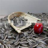 Sunflower Seeds of High Quality thumbnail-2