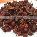 Mundu Chillies thumbnail-5