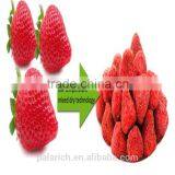 Natural Strawberry Chips Mixed With Breakfast Cereal thumbnail-2