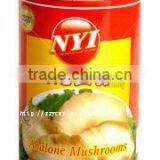 vegetable price list of canned abalone mushroom
