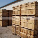 Good Quality Canned Pickle Green Chili Pepper thumbnail-4