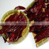 Paprika Red thumbnail-1