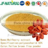 Wolfberry extract high quality Ningxia wolfberry
