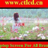 15.4 Inch WXGA Laptop LCD Screen B154EW08 V.0 thumbnail-1