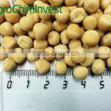 YELLOW PEAS thumbnail-1