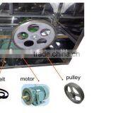 Automatic Stainless Steel Commercial Chicken Plucker Machine for Sale thumbnail-4