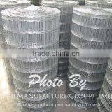 Factory Welded Wire Mesh thumbnail-3