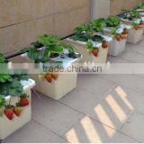 Hydroponics Duch Buckets for Tomatoes Peppers thumbnail-4