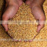 MINISTAR 2000 Chicken Feed Making Machine/ Chicken Feed Mixing Machine / Animal Feed Making Machine thumbnail-2