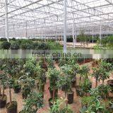 Polycarbonate Greenhouse thumbnail-6