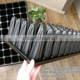 45 Cell Plastic Tubs of Seedlings of Forest and Tree, Plastic Plug Nursery Seed Growing Tray Provided by China Good Suplier thumbnail-5