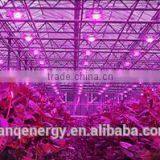 High Power Led Grow Lamp 150w for Greenhouse COB LED 150w Full Spetrum Best Wholesale thumbnail-1