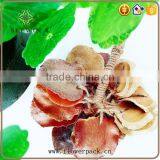 Rural Series of Dried Fruit Hangs Have Seven Options thumbnail-5