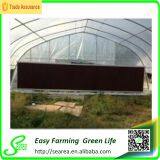 Glass Greenhouse thumbnail-2