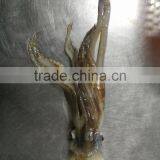 Frozen Squid Head/Tentacles thumbnail-1