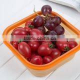 Silicone Food Grade Small Fruit Box Airtight Lunch Box thumbnail-2
