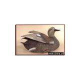 Decoys--Displaying Gadwall thumbnail-1