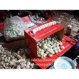 Chinese 100% Pure White Fresh Garlic Small Packing Costa Rica Market