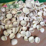 Lotus Seed Lotus Nut Lotus Kernel Dried Half White Lotus Seed Paste Health Food