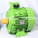 Moteur Electrique 220v 500w thumbnail-1