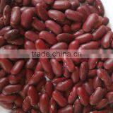 Organic Red Kidney Bean thumbnail-1