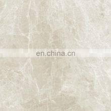 Tile Accessories R9 R10 600x600 Matted Tiles for Kitchen Floor and Wall Design Porcelain Tiles